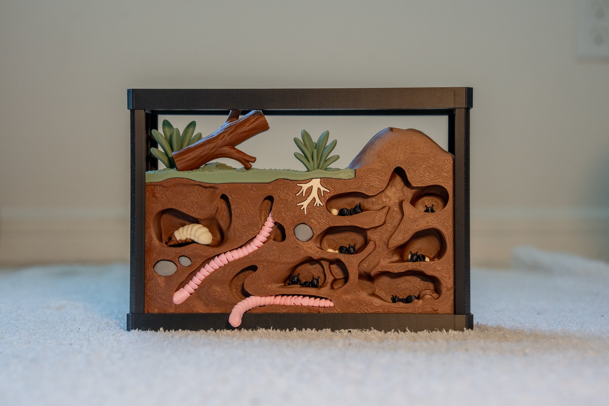 Insect Discovery Terrarium