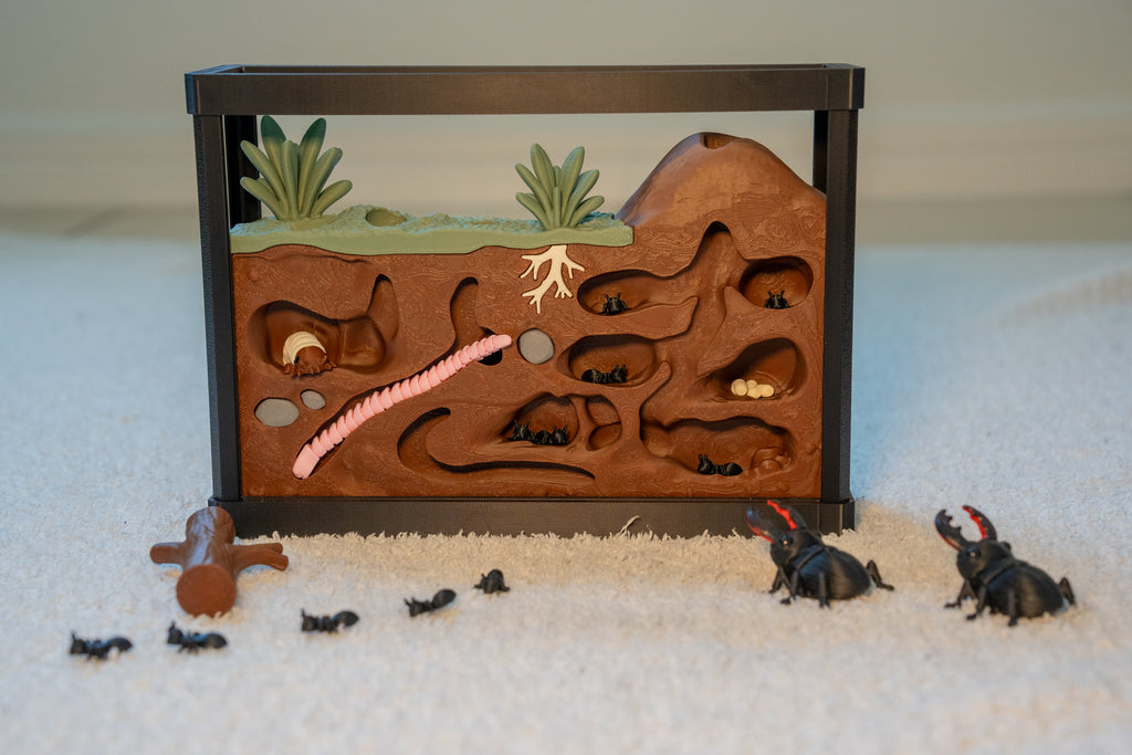 Insect Discovery Terrarium