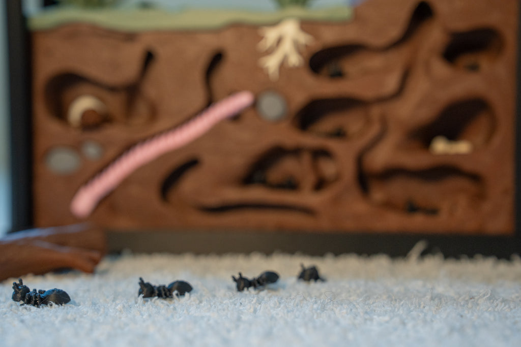Insect Discovery Terrarium