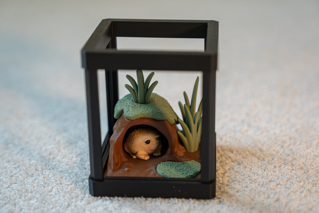 Rain Frog Sensory Terrarium