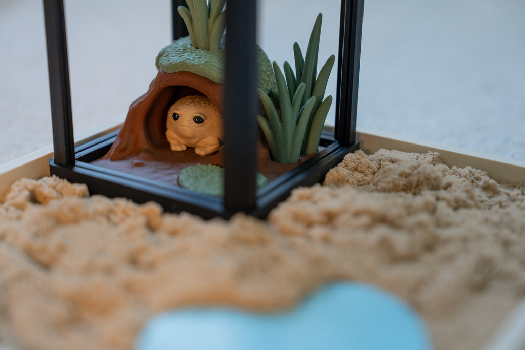Rain Frog Sensory Terrarium