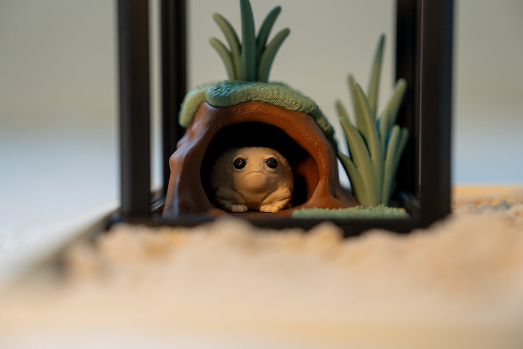 Rain Frog Sensory Terrarium
