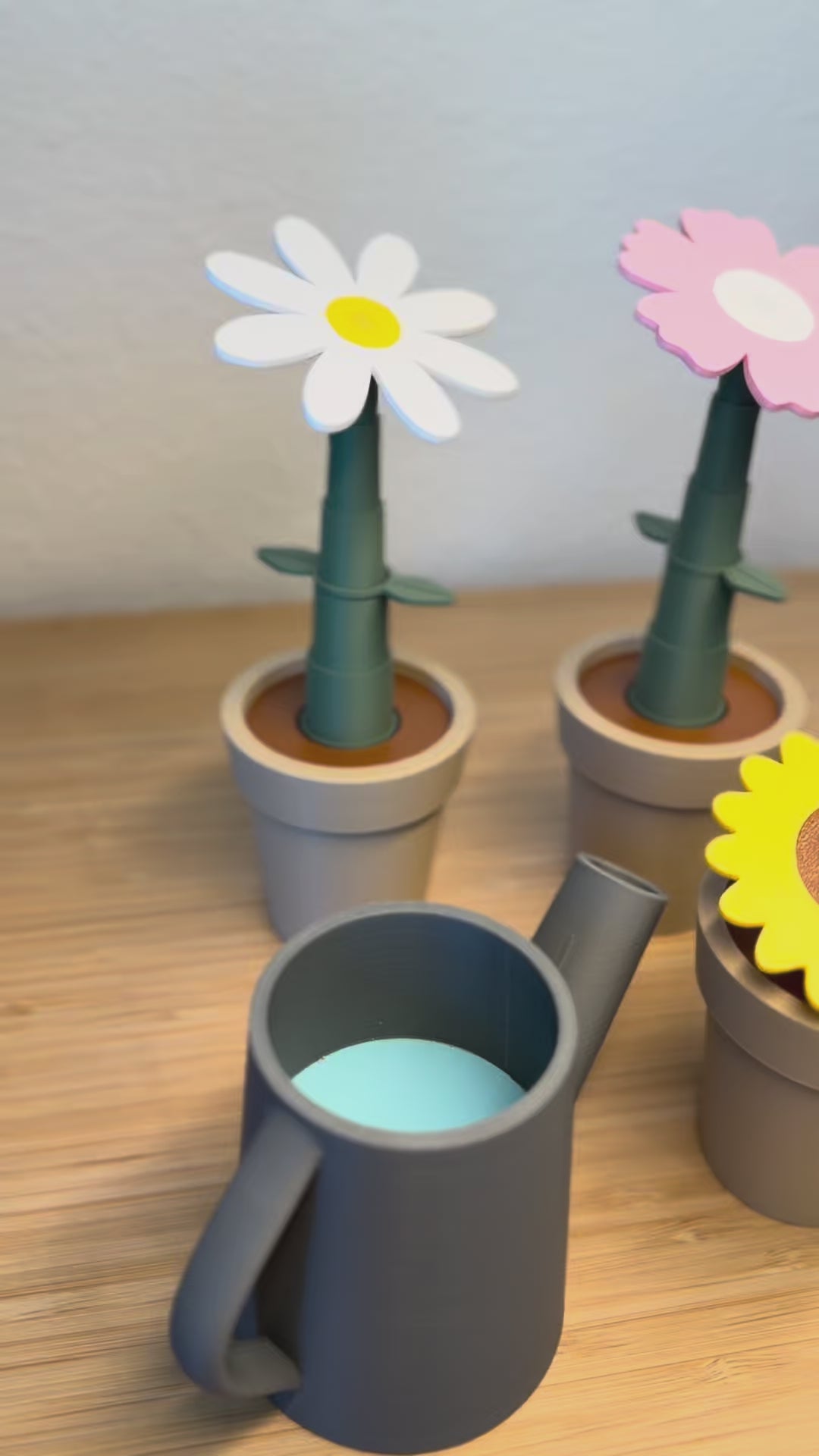 FLOWER GARDEN KIT