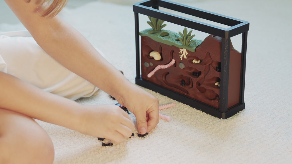 Insect Discovery Terrarium