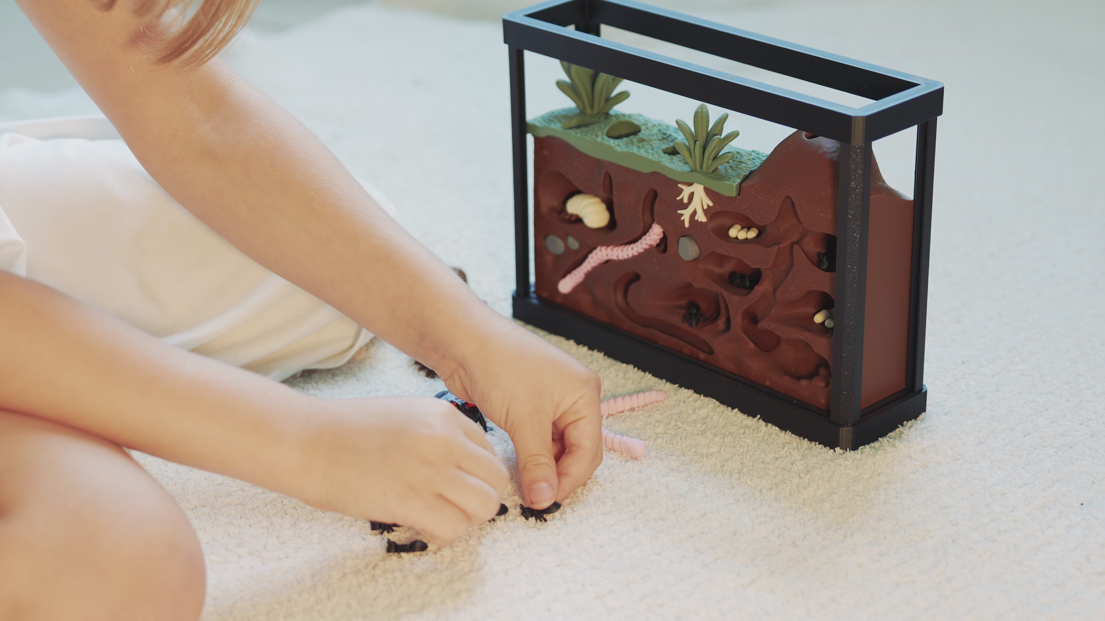 Insect Discovery Terrarium